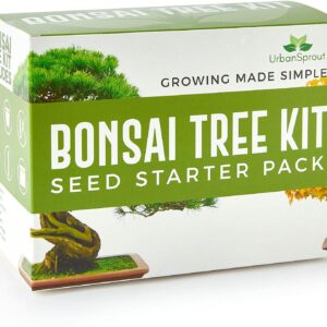 Urban Sprout Bonsai Tree Kit - Grow Your Own Bonsai Trees from Seed - Sustainable Eco Gardening Gift Set with 5 Bonzai Seed Varieties and Bonzie Starter kit Tools